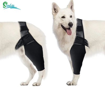 Dog knee brace for joint pain relief