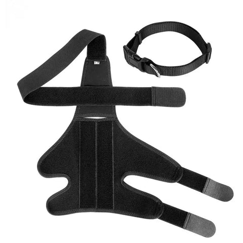 Muscle sore relief dog knee brace