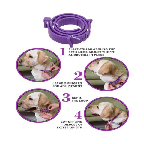 Natural calming collar for pets with adjustable size
