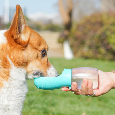 Portable travel water bottle for pets on the go