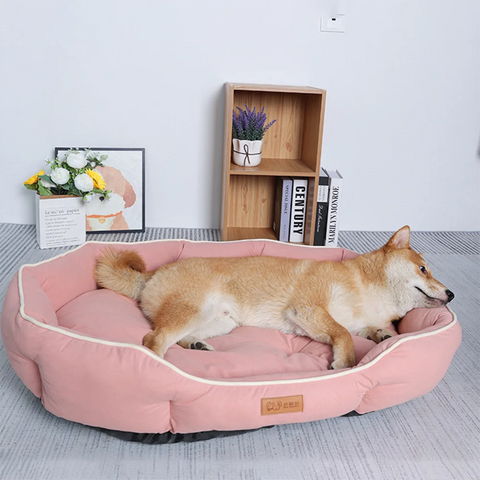 Warm winter dog bed with big space and soft sleeping mat