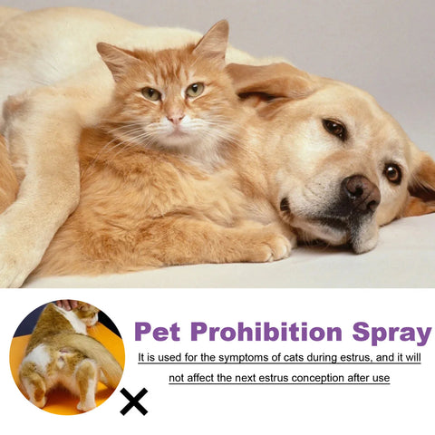 Pet pheromone spray for estrus agitation