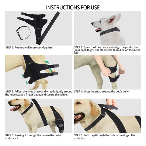 Pet knee support for injury recovery