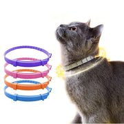 eco-conscious natural collar for pets