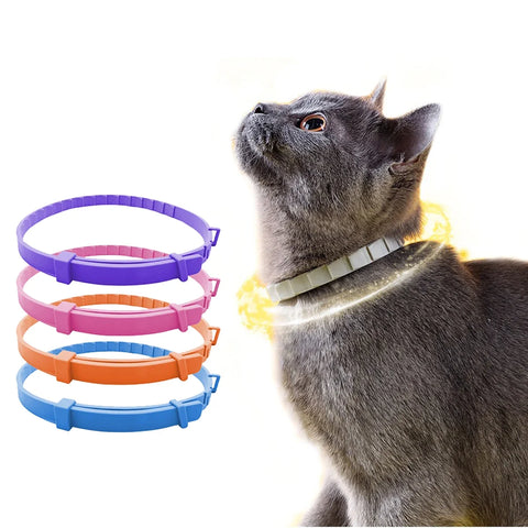 eco-conscious natural collar for pets