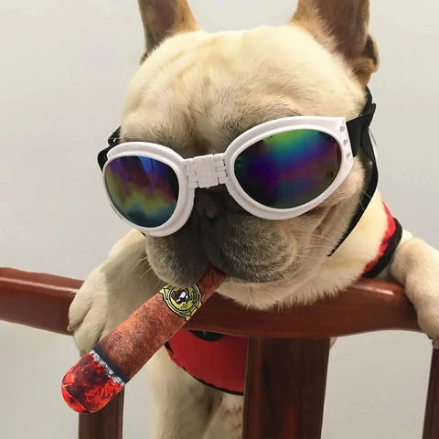 Pet molar toy shaped like cigar