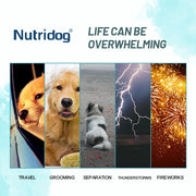 Dog anxiety chews with chamomile and L-Theanine