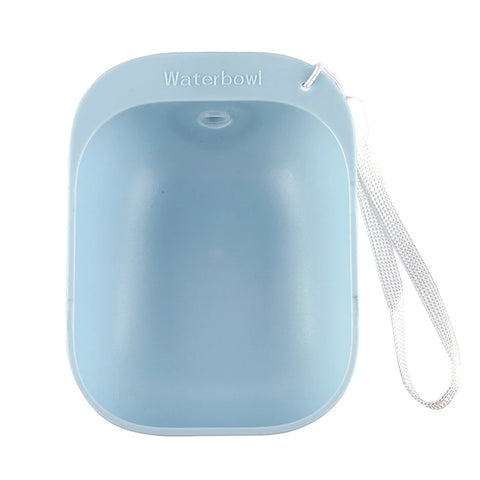Travel-friendly pet hydration bottle with bowl