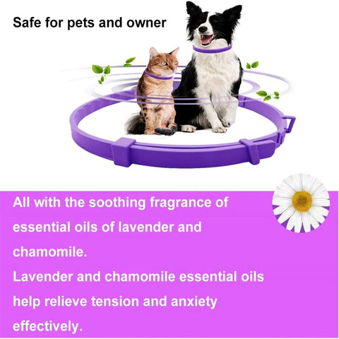 Soothing collar to relax cats and dogs