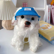 Pet baseball cap for dogs and cats