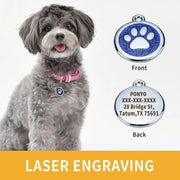 Personalized pet name tag with paw print design