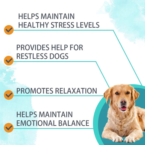 Soft dog chews for relaxation and stress relief