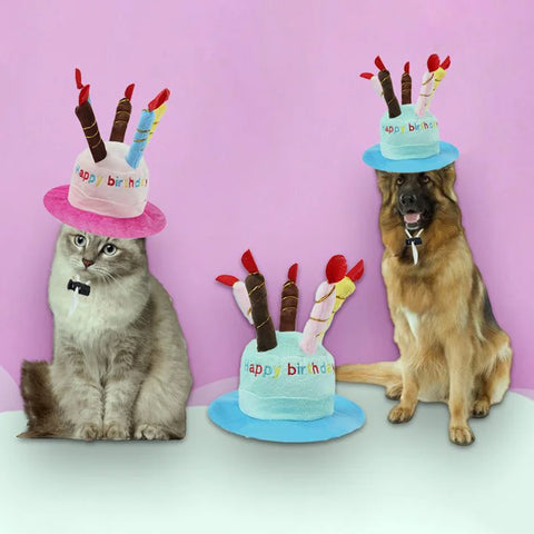Pet costume hat for special occasions