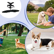 Canine orthopedic support wrap for mobility and joint c