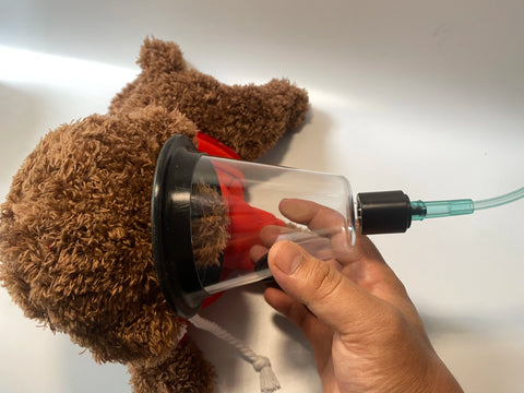 Cat and dog nebulization mask
