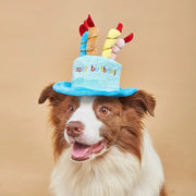 Adjustable birthday hat for pets