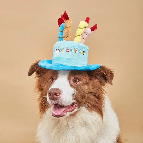 Adjustable birthday hat for pets