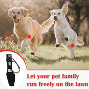 Rear leg brace for injured dogs