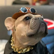 Dog and cat cowboy photo prop