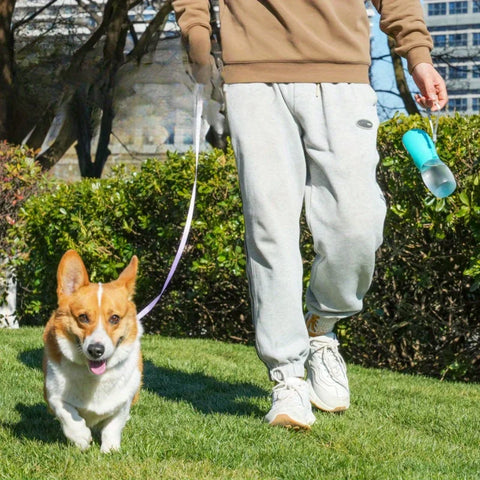 Compact pet feeding bottle for small and medium pets