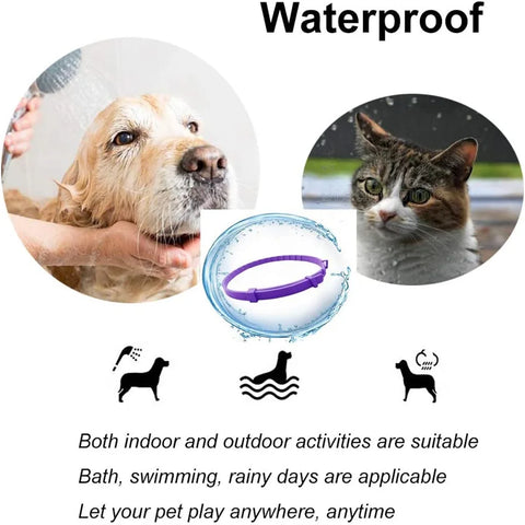 Pet collar helping reduce anxiety and promote calm