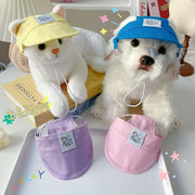 Small dog wearing summer pet baseball cap