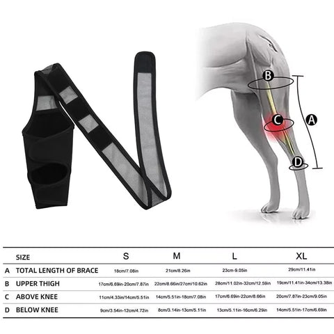Dog leg brace for muscle soreness