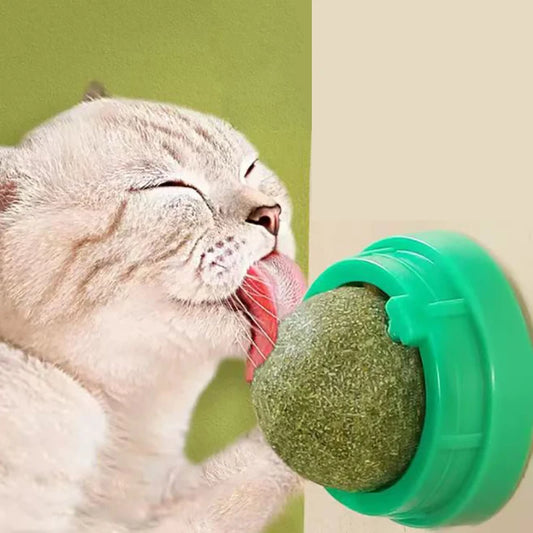 Essential Catnip Wall Stick-on Ball Toy