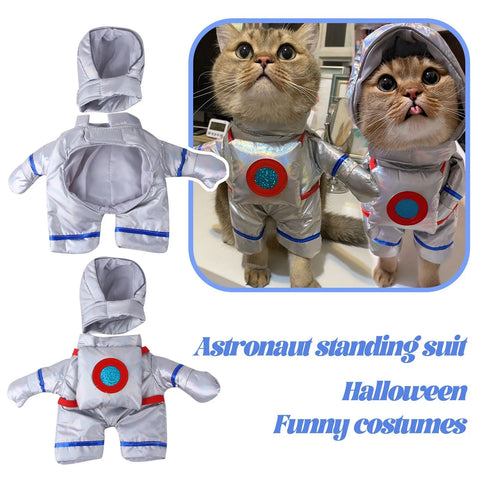 Cat dressed in astronaut pet outfit