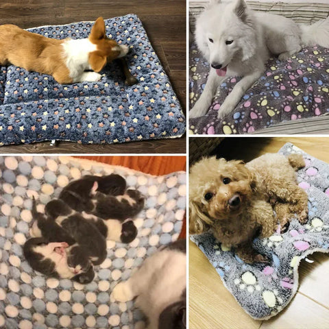 Thick pet blanket for cats and small dogs