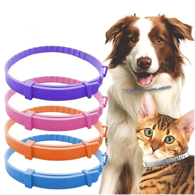 sustainable dog collar made with organic fabric