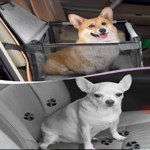 Foldable pet car seat for puppies with stable safety belt"