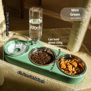 Pet water dispenser with feeding bowl