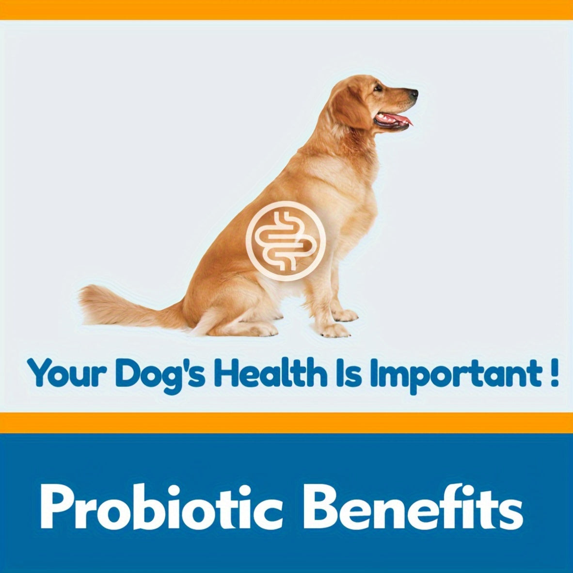 DGI Dog Probiotic Soft Chew